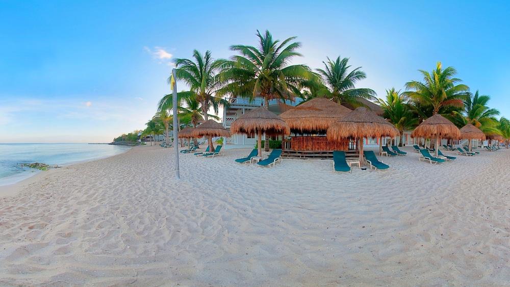 Sabor And Cozumel