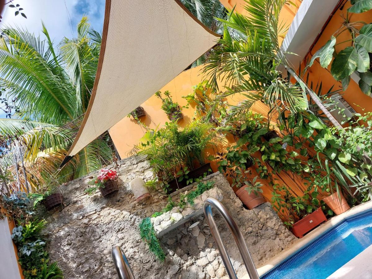 5 Estudio Planta Alta Con Terraza