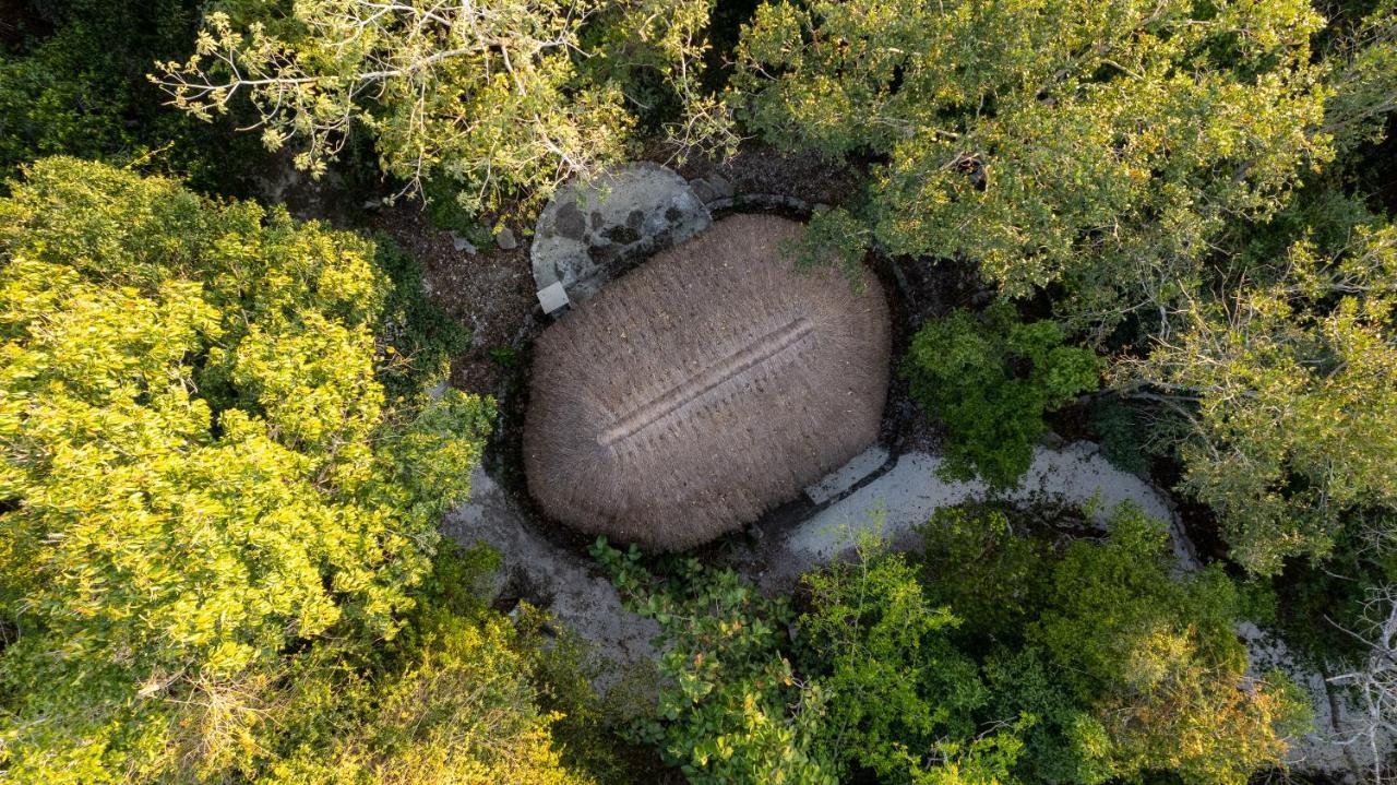 Maya - Glamping - Natural Reserve Cozumel