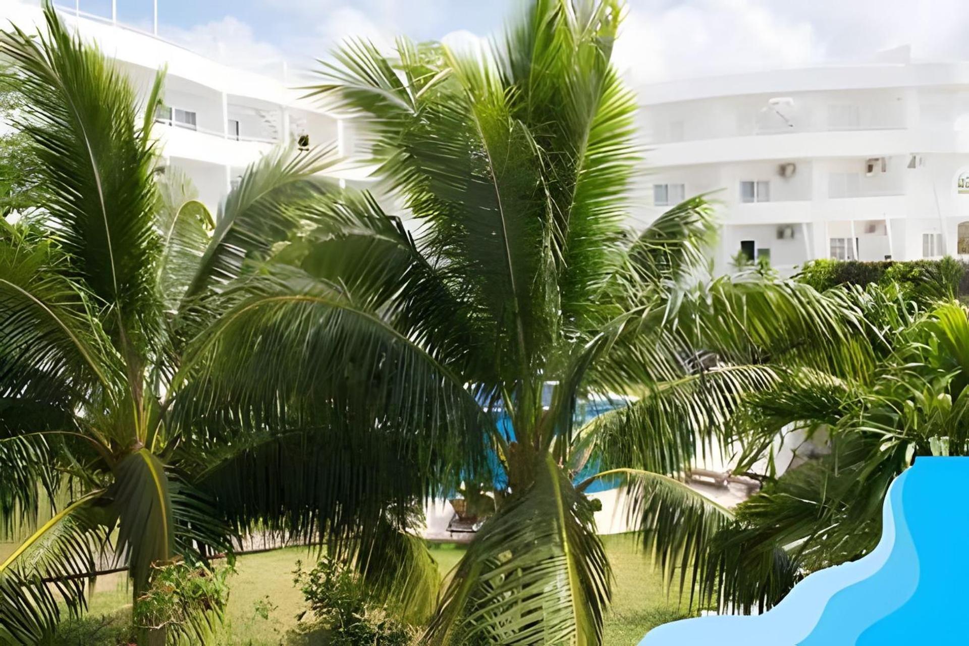 Apartment Minimalist With Pool And Free Scooter Cozumel
