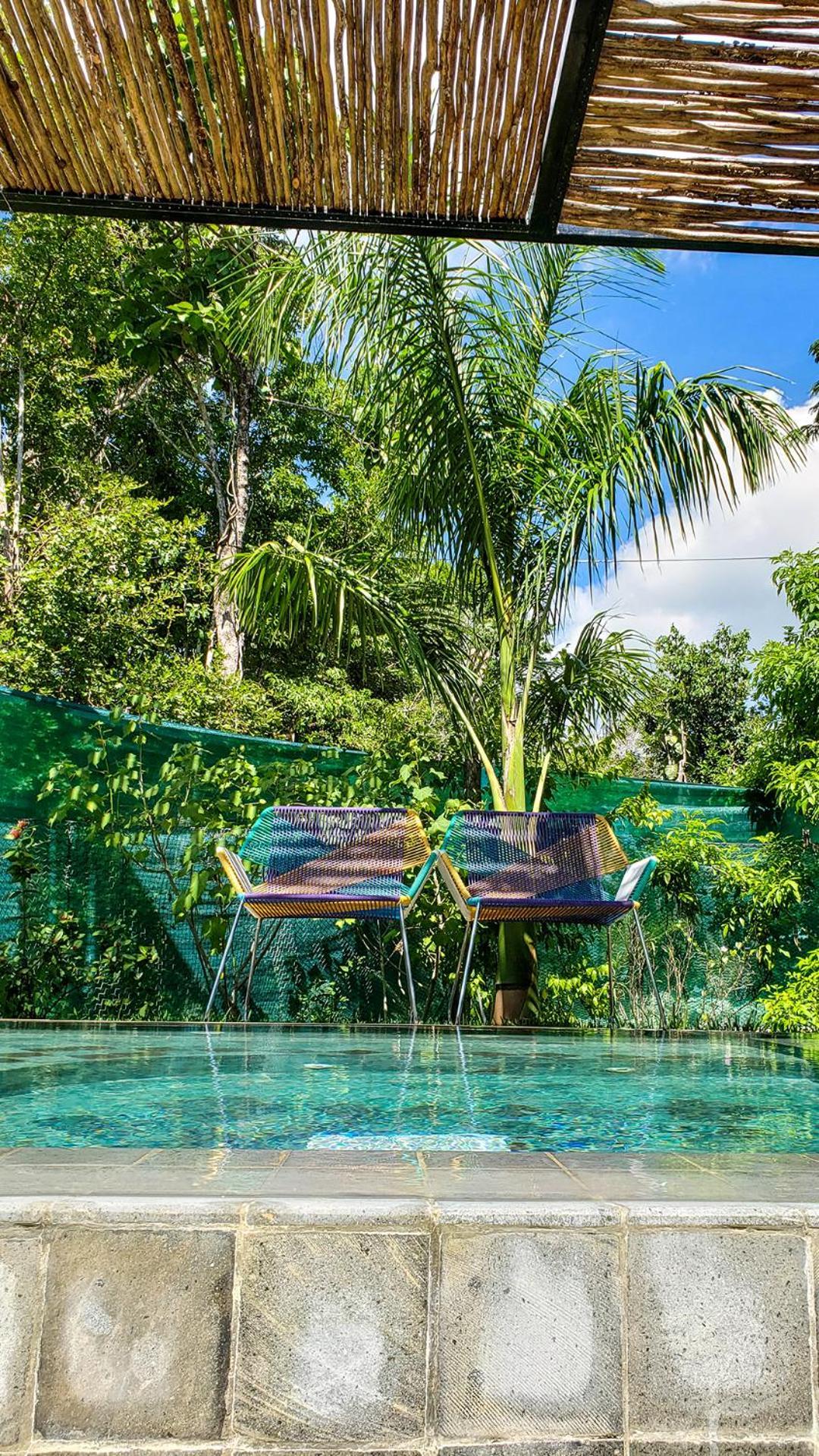 Zamna - Jungle * Cozumel