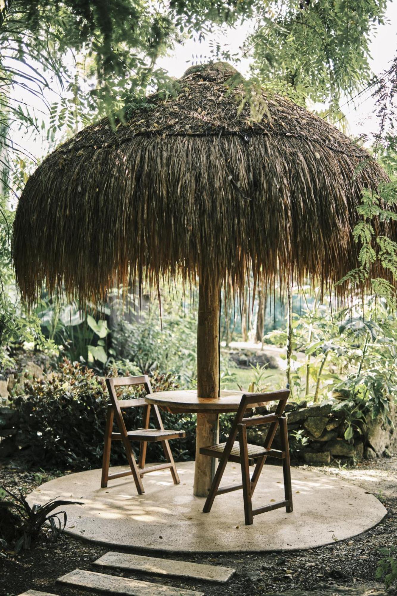 Villa Zamna - Jungle *