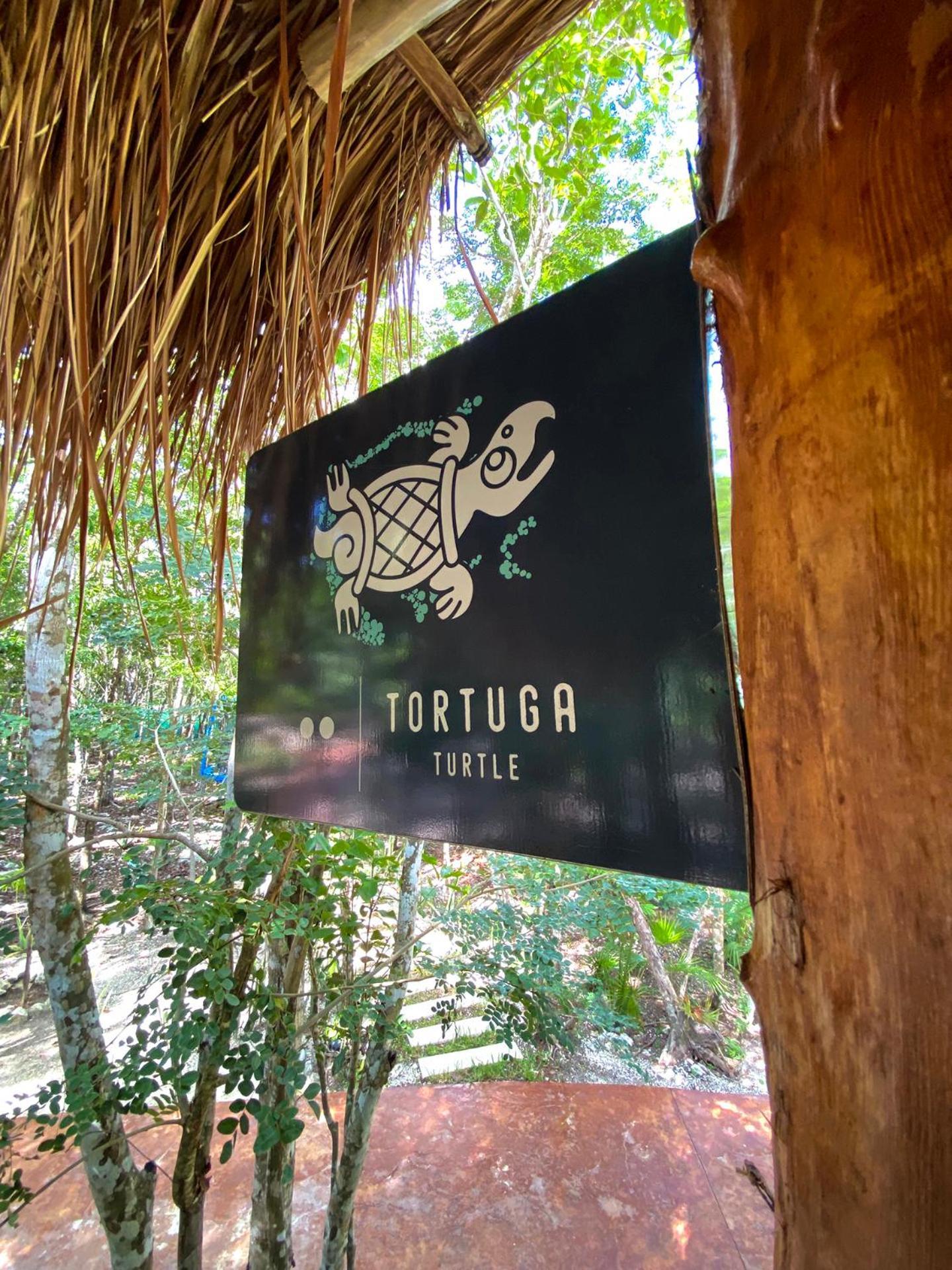 Villa Zamna - Jungle *