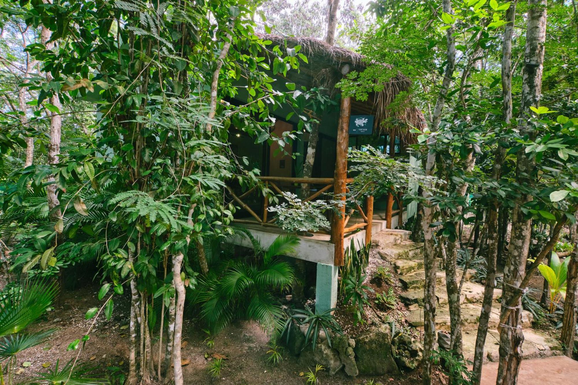 Villa Zamna - Jungle *