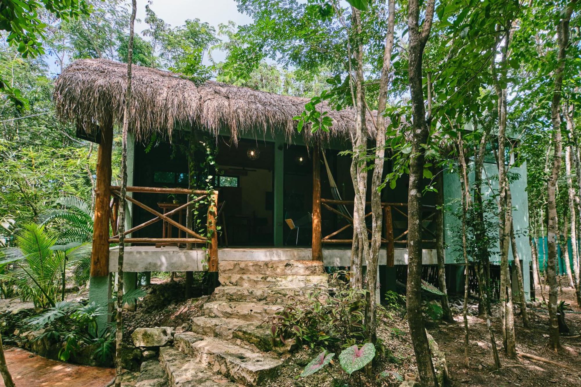 Zamna - Jungle