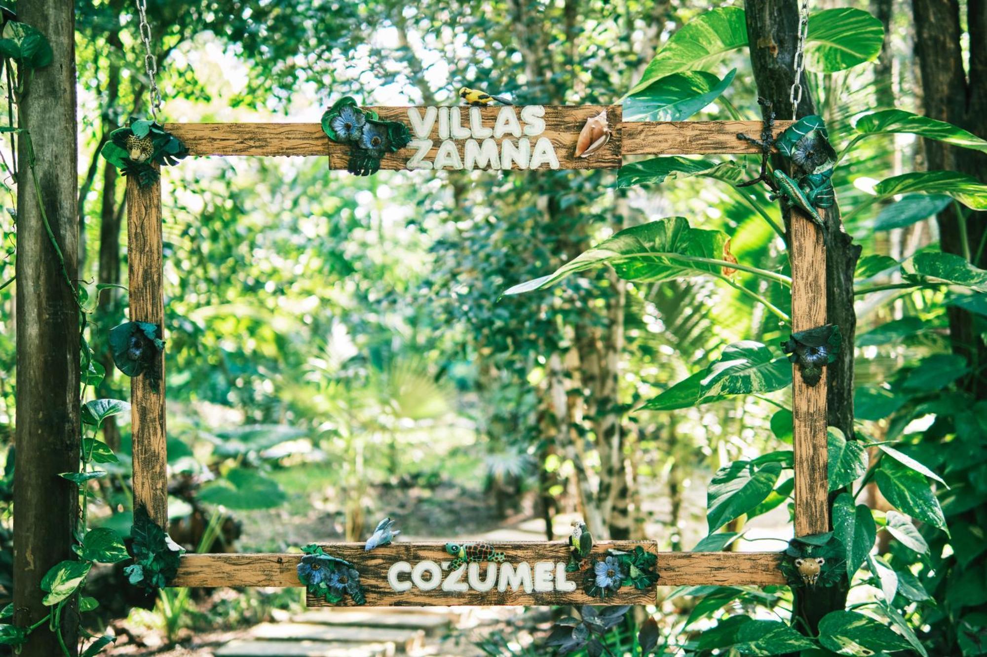 Zamna - Jungle *