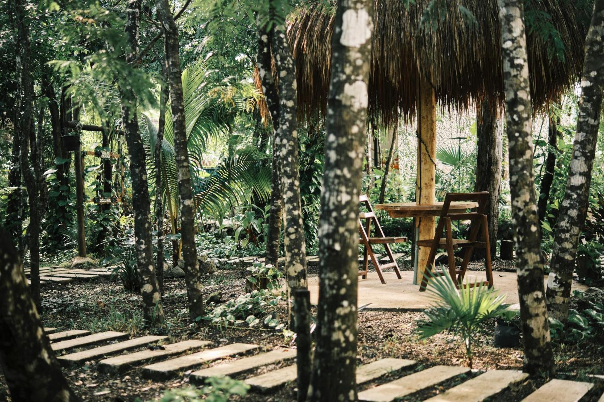 Zamna - Jungle