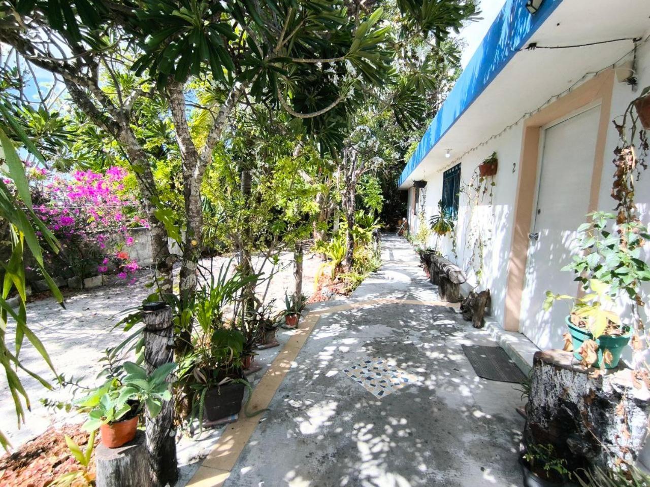 Comfy Yaxkin On Downtown, 3 Block Away From Sea And Sunsets Apartment