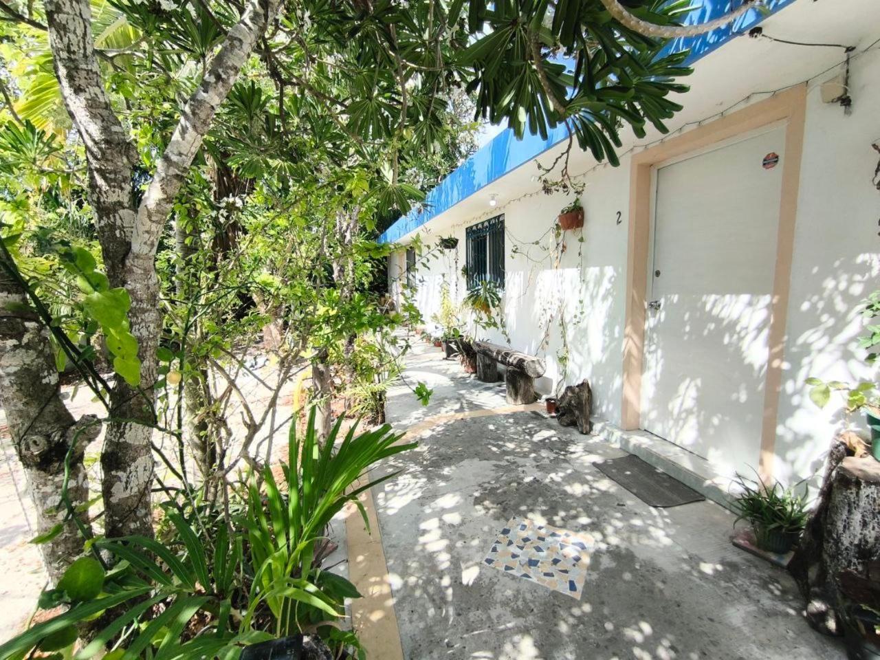Comfy Yaxkin On Downtown, 3 Block Away From Sea And Sunsets Apartment