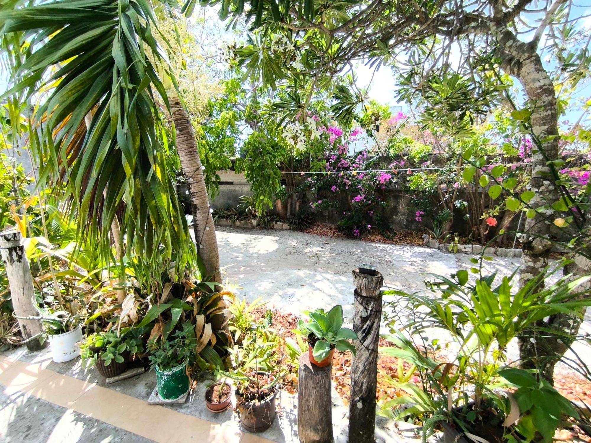 Comfy Yaxkin On Downtown, 3 Block Away From Sea And Sunsets Apartment Cozumel
