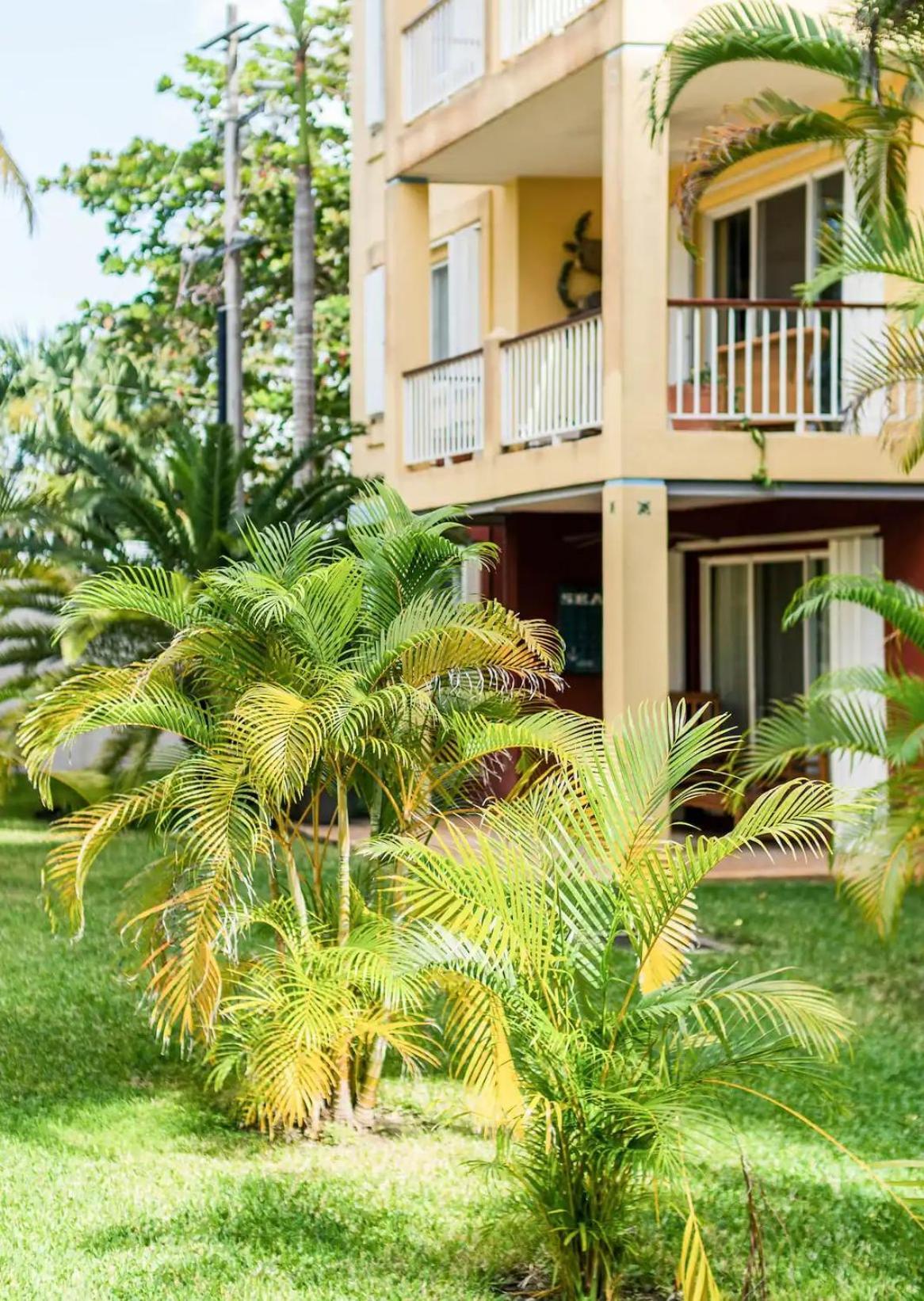 Luxury Island Life Cozumel