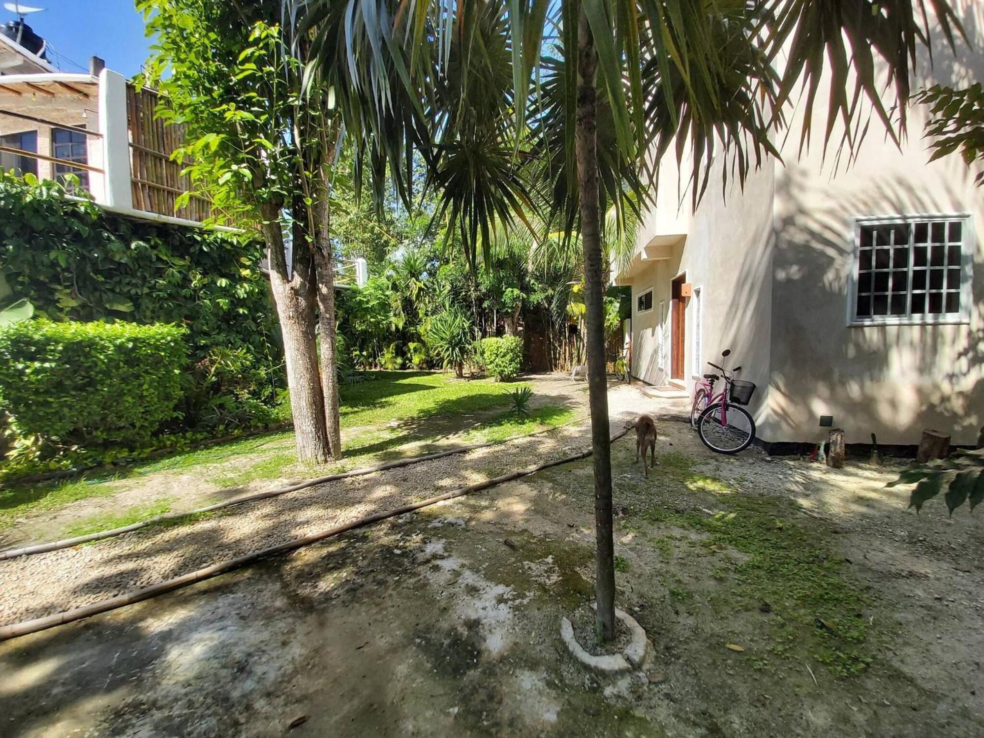 Сasa de vacaciones Mini Pini Birdwatching And Cenote Loft4 Only Cozumel