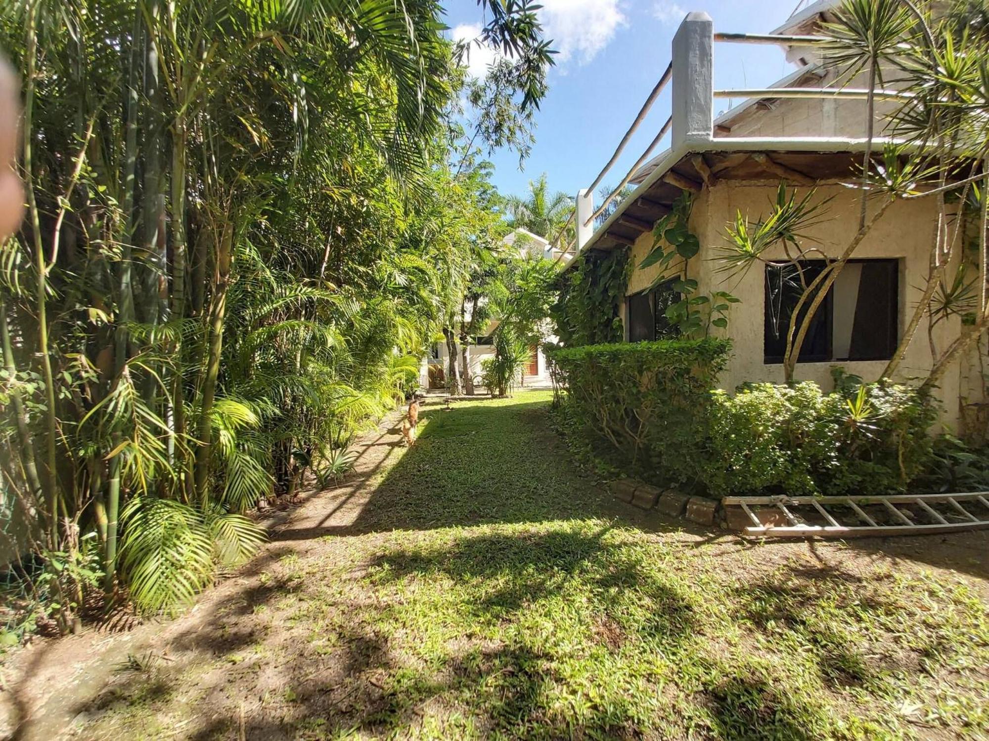 Mini Pini Birdwatching And Cenote Loft4 Only Сasa de vacaciones