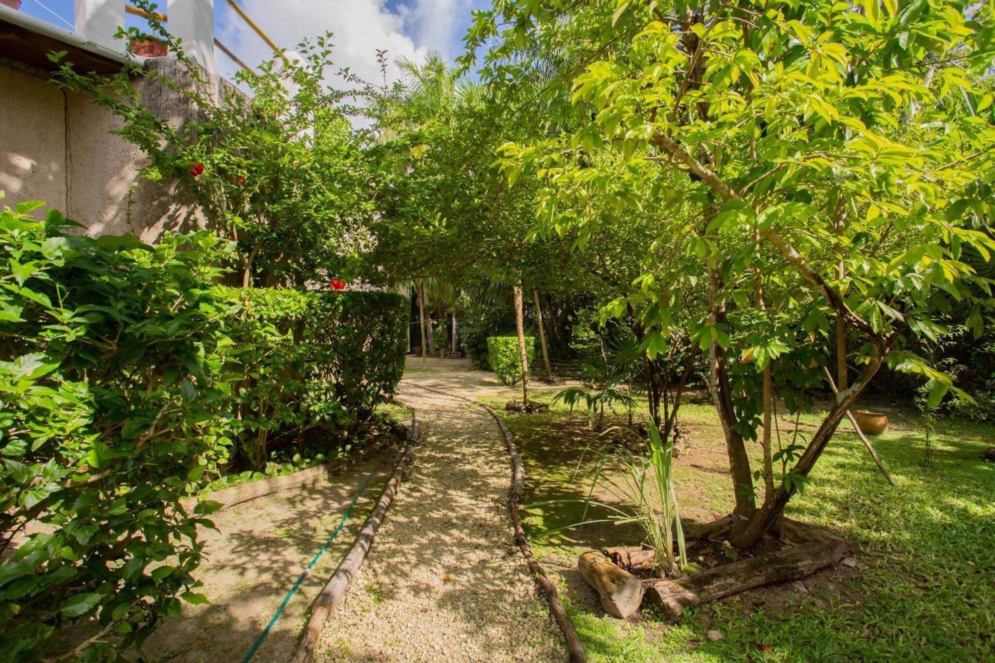 Mini Pini Birdwatching And Cenote Loft4 Only Сasa de vacaciones *