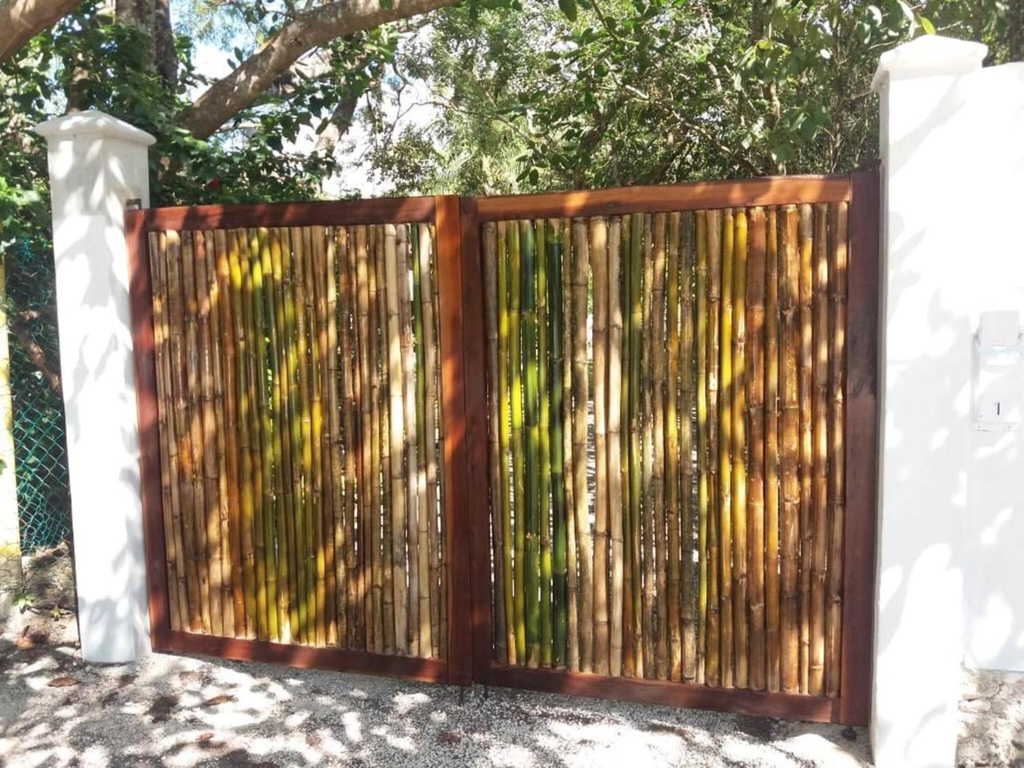 Mini Pini Birdwatching And Cenote Loft4 Only Cozumel