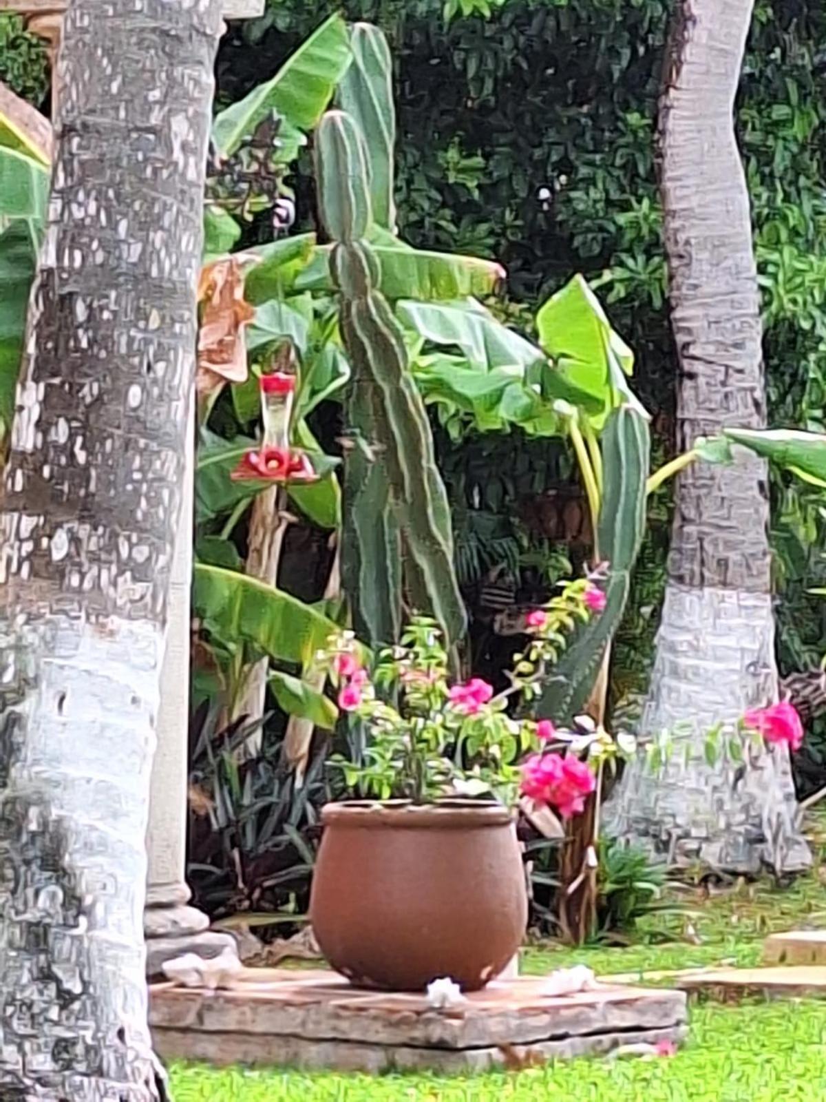 Casa Colonial, Indigo Villa *