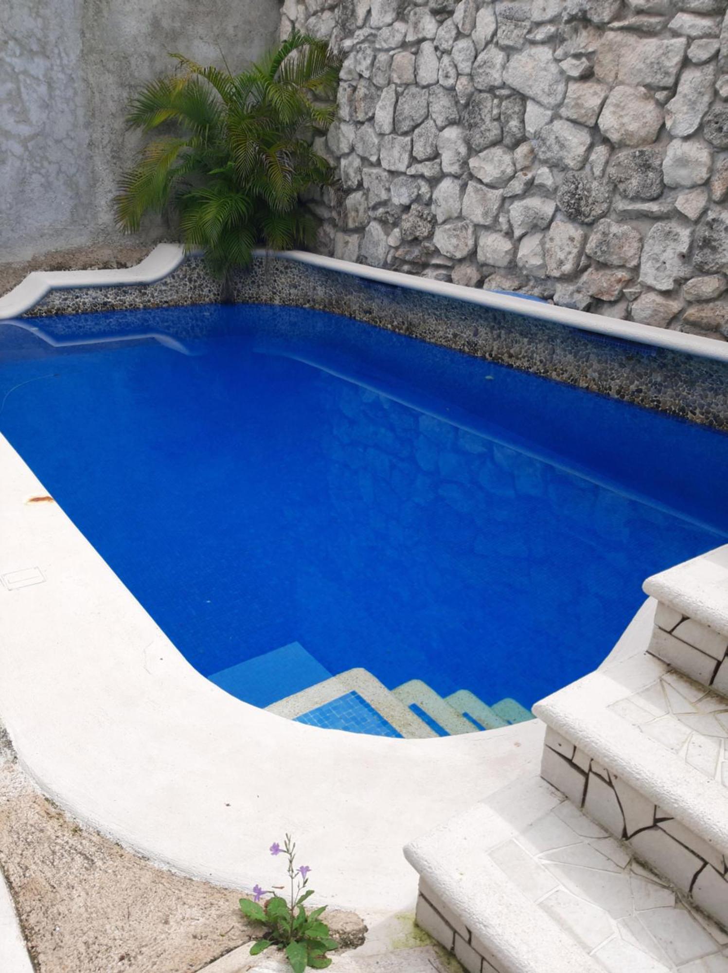 Tziimin Nahil * Cozumel
