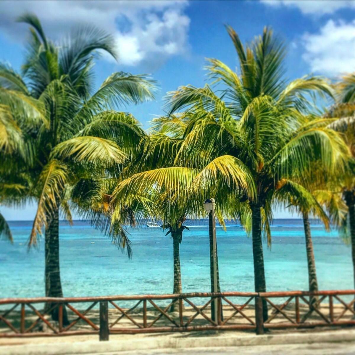 Apartment The Has To Offer The Landmark Cozumel