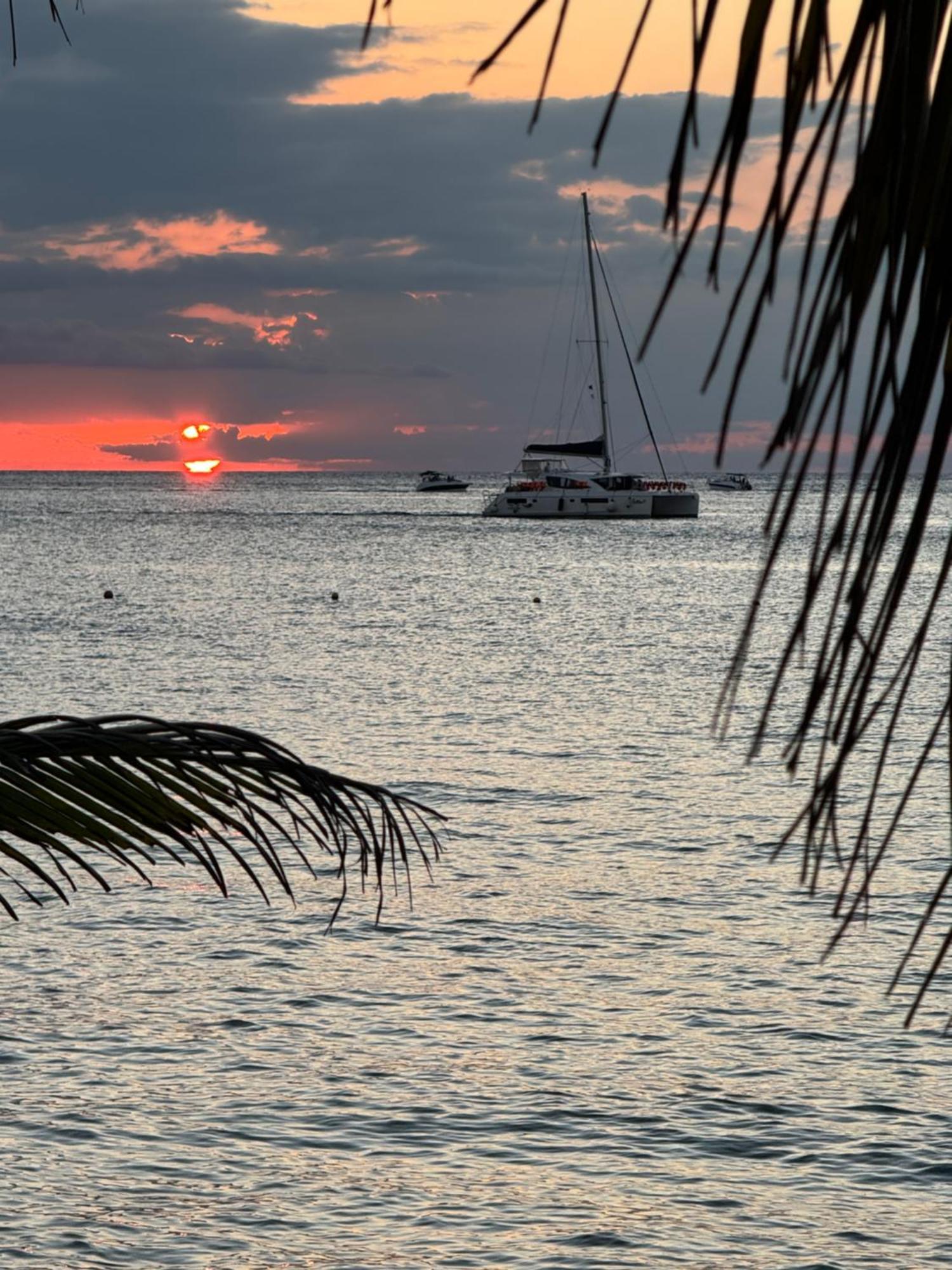 The Has To Offer The Landmark Cozumel