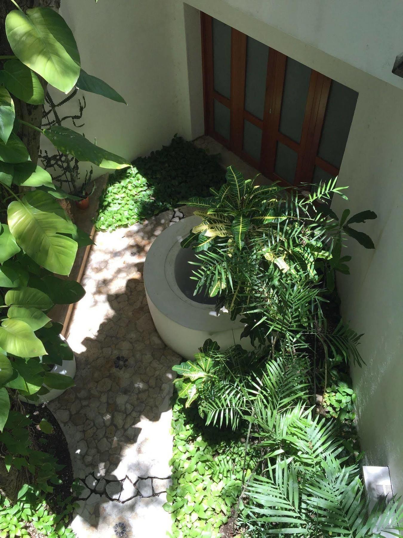 Mi Casa En Hotel Cozumel
