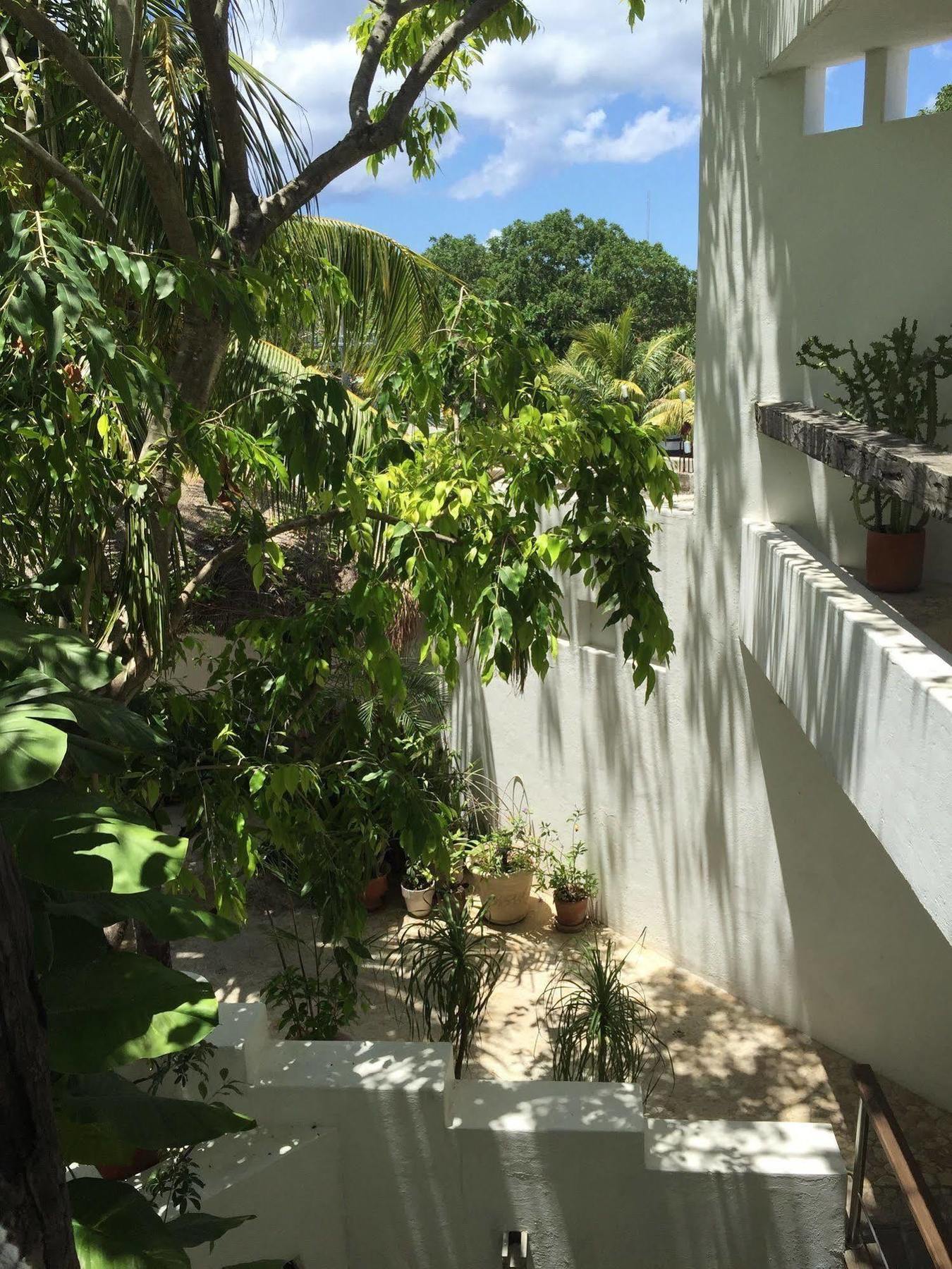 Mi Casa En *