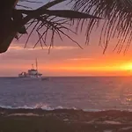 Estudio Coati Azul En La Isla De Cozumel En El Caribe