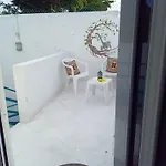 Estudio Coati Azul En La Isla De Cozumel En El Caribe