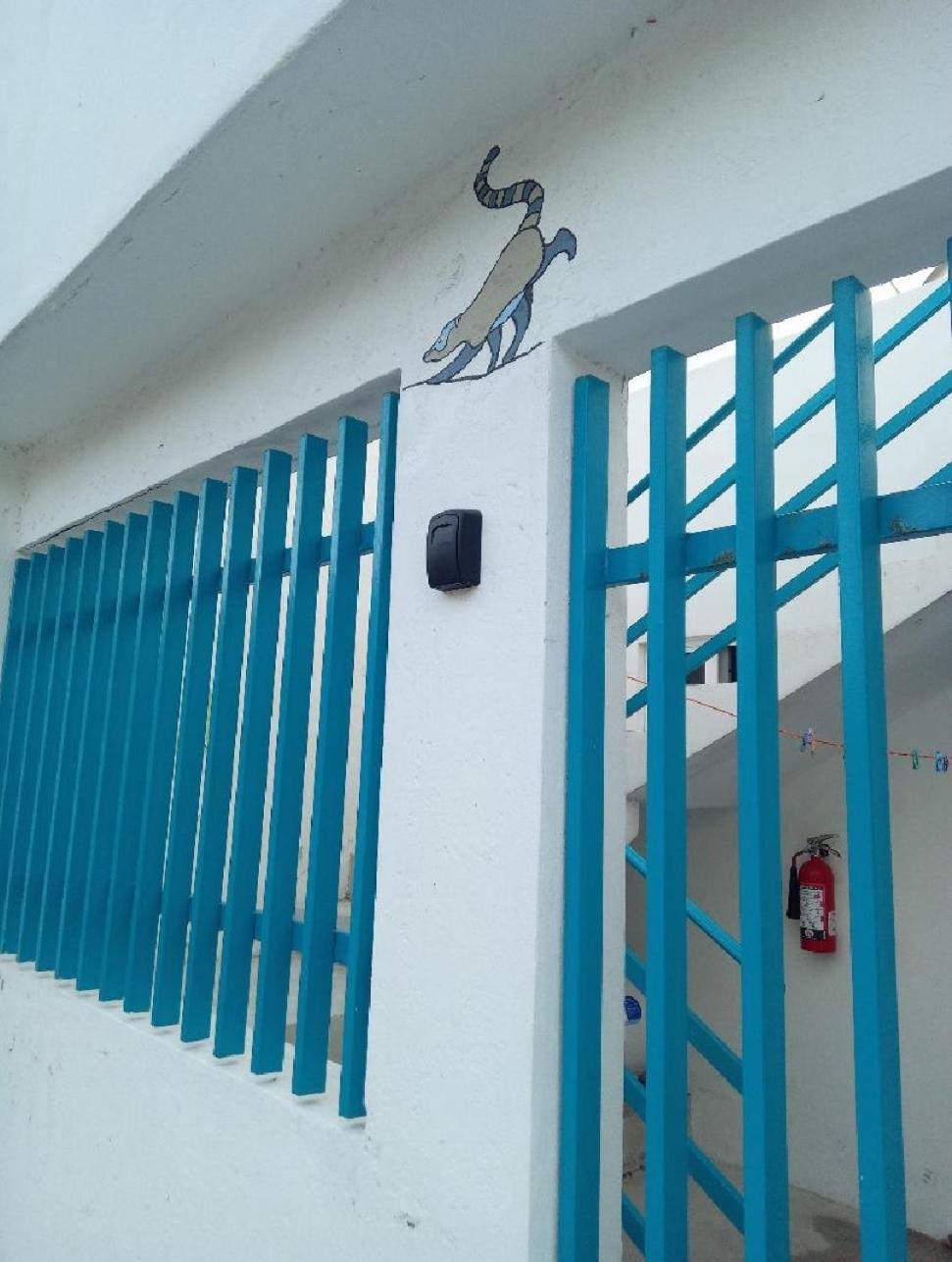 Apartment Estudio Coati Azul En La Isla De En El Caribe Cozumel