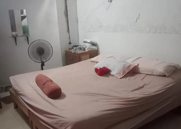 Rhinos House