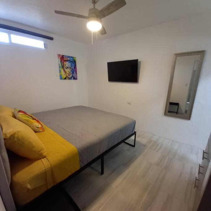 Apartment Frida