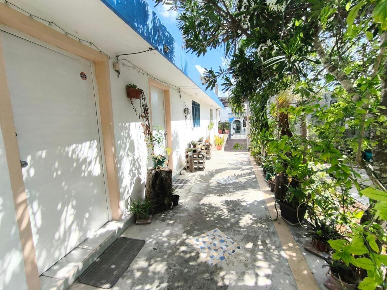 Comfy Yaxkin On Downtown, 3 Block Away From Sea And Sunsets Apartment