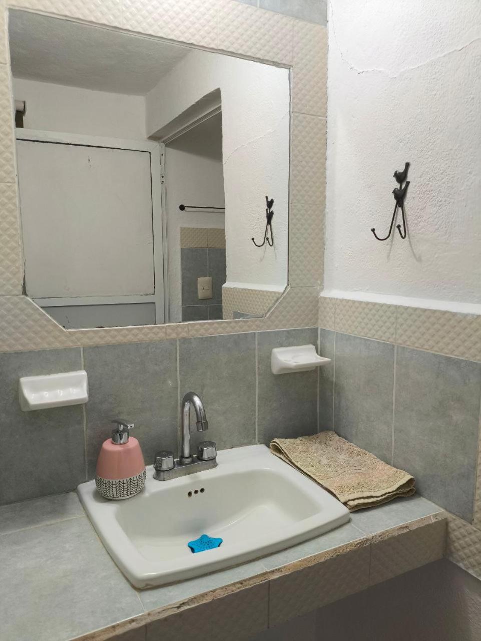 Comfy Yaxkin On Downtown, 3 Block Away From Sea And Sunsets Apartment