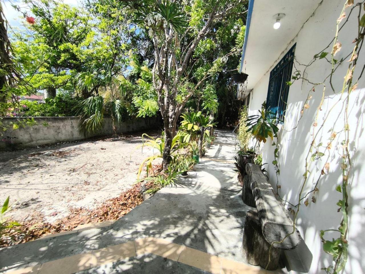 Apartment Comfy Yaxkin On Downtown, 3 Block Away From Sea And Sunsets