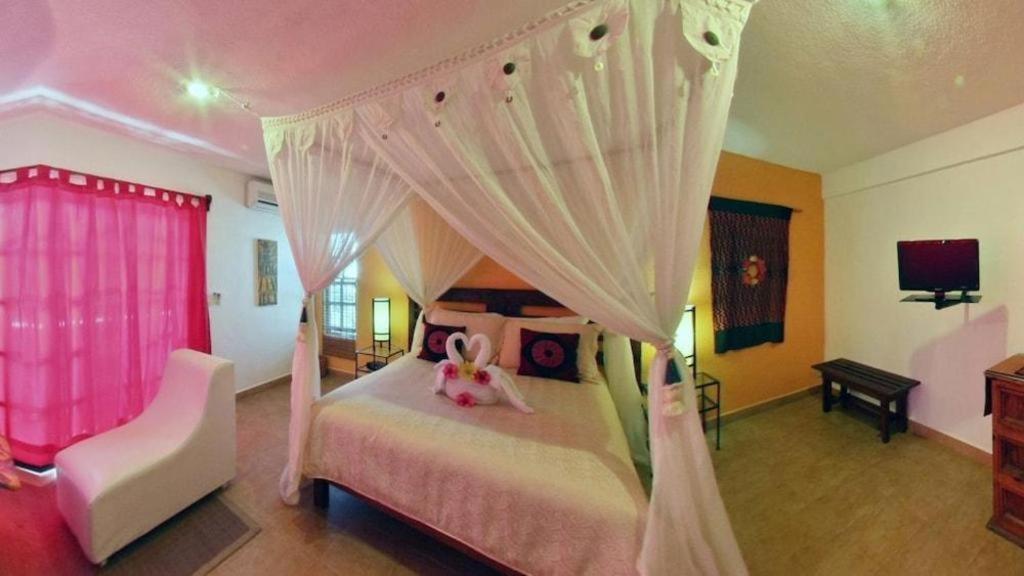 Hotel Flamingo Cozumel